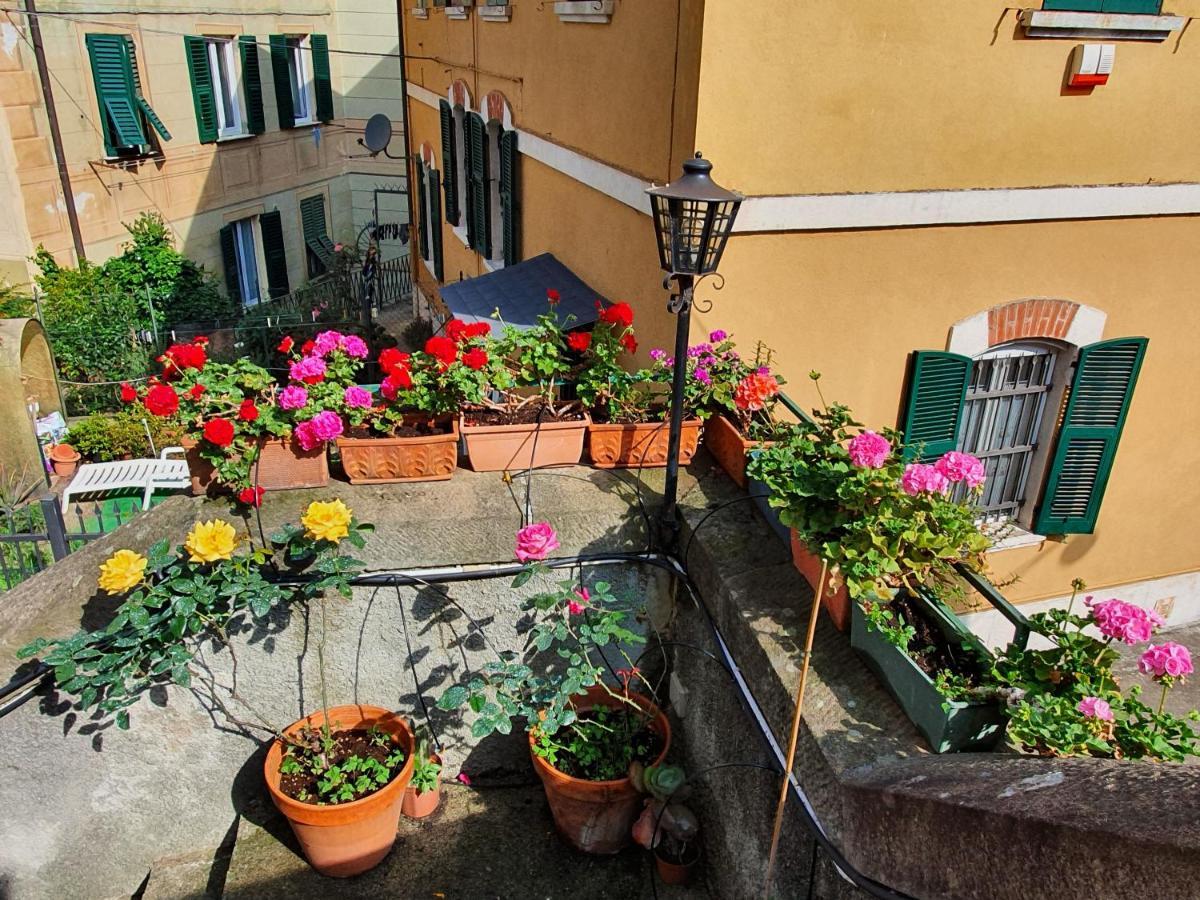 Appartamento Casa Di Mya Citra 010007-Lt-0318 Camogli Esterno foto